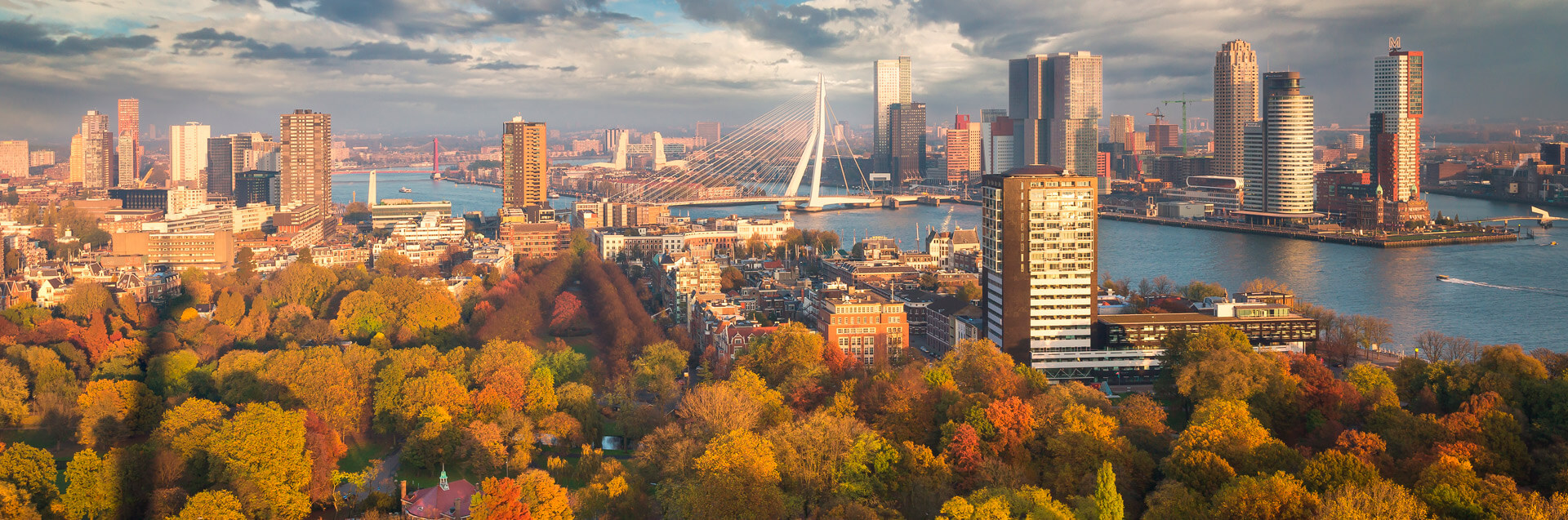 Rotterdam_L