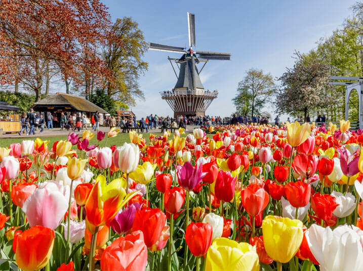 Keukenhof_Shop