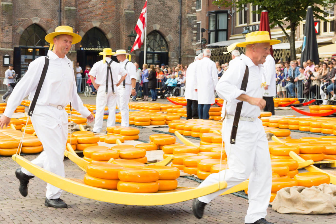 Dutch cheese | Discover Holland