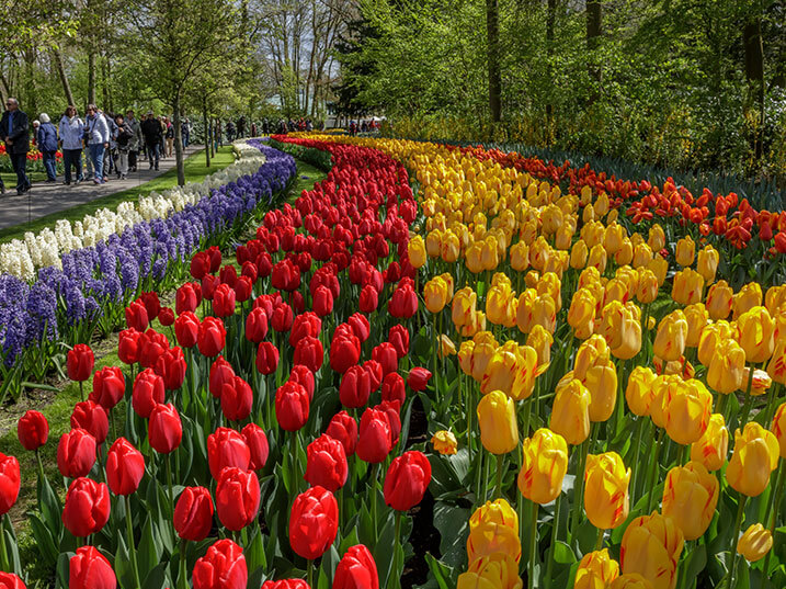 Keukenhof-Lisse_Shop